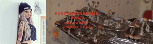 jwh Аркадак