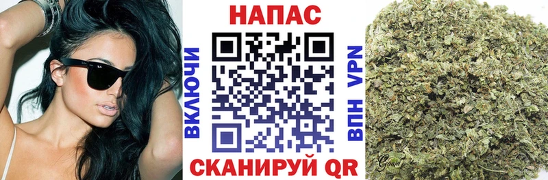 где найти наркотики  Шахунья  даркнет Telegram  Конопля SATIVA & INDICA 